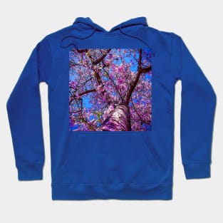 CHERRY BLOSSOM TREE Hoodie